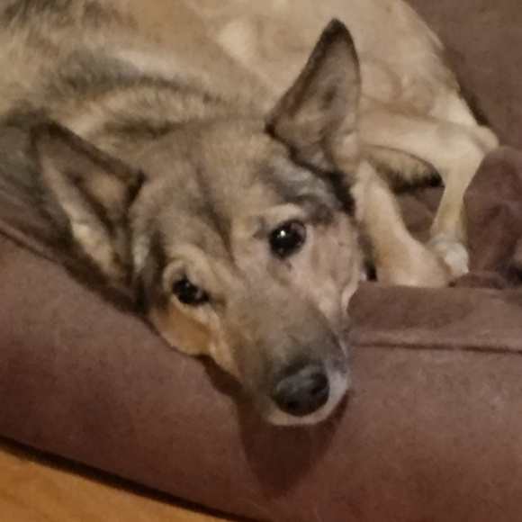 Meet your Posher, Ryan - Picture 6 of 7